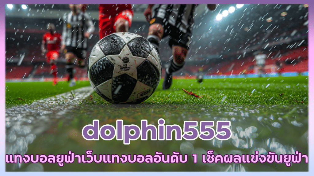 dolphin555 แทงบอลยูฟ่า