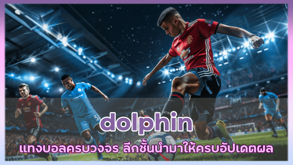 dolphin แทงบอลครบวงจร